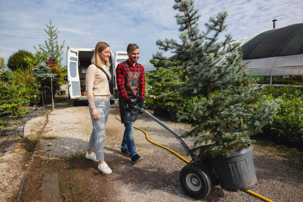 Best Hazardous Tree Removal  in Fillmore, CA